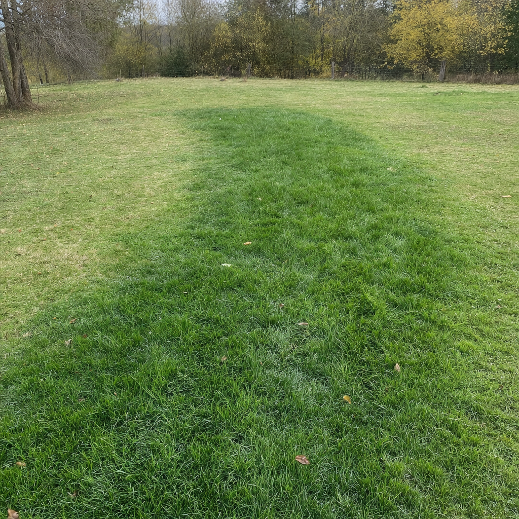 A soggy, unusually green patch of lawn over the drain field of a Clinton Township home, a sign the septic tank needs pumping
